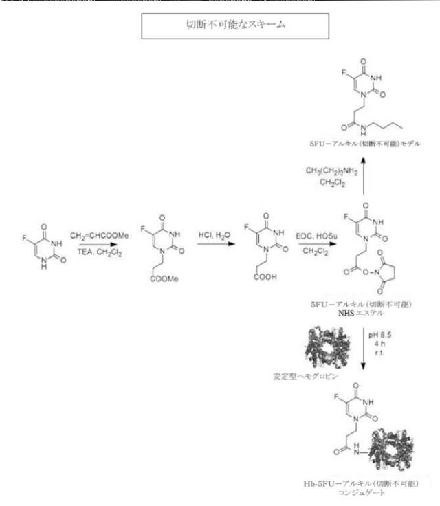 6392855-がん治療および診断イメージングのための修飾ヘモグロビンベース系治療剤を含む医薬組成物 図000008