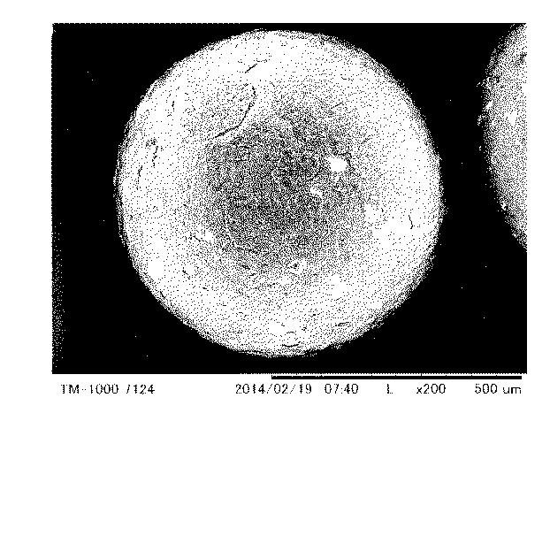 6420566-低鉛黄銅製接液部材の製造方法 図000008