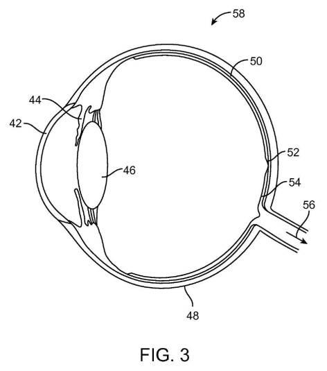 6510012-仮想現実および拡張現実のシステムおよび方法 図000008