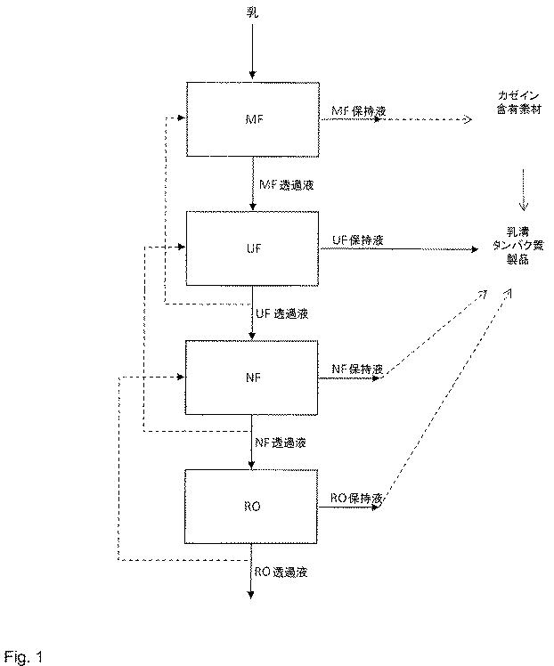 6513629-乳ベースの製品およびその調製方法 図000008