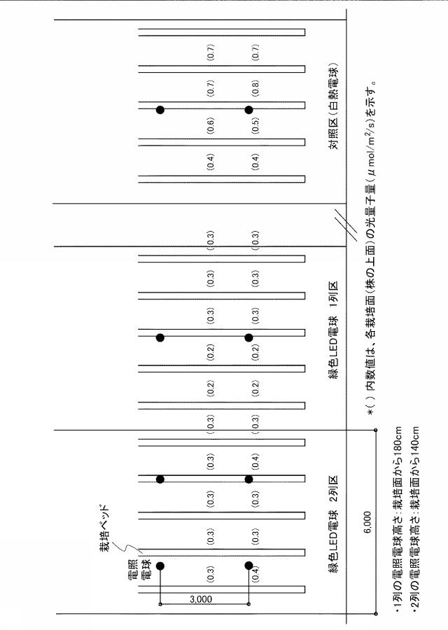 6541231-イチゴの休眠抑制方法 図000008