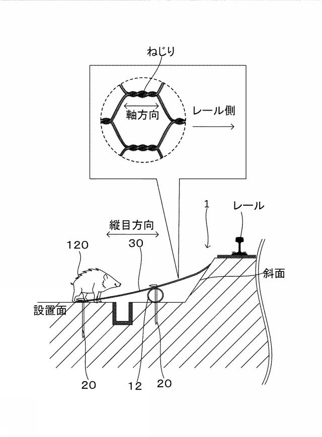 6547174-動物侵入防止装置、及び、動物侵入防止装置の施工方法 図000008