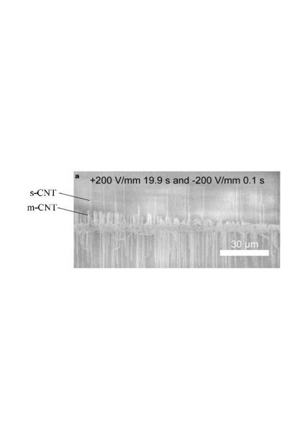 6554564-光検出器 図000008