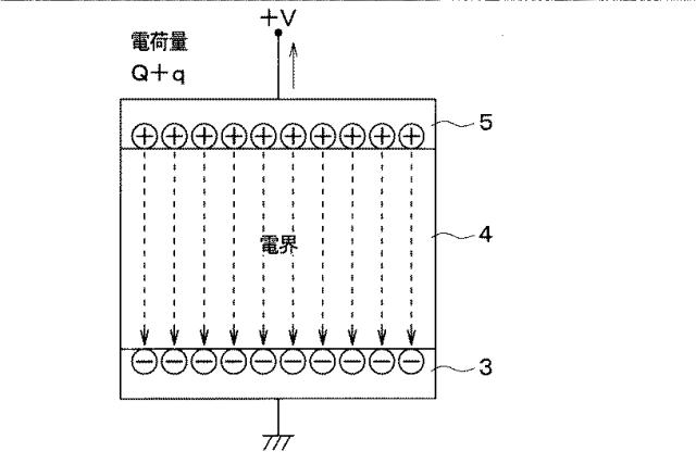 6583014-半導体装置の製造方法 図000008