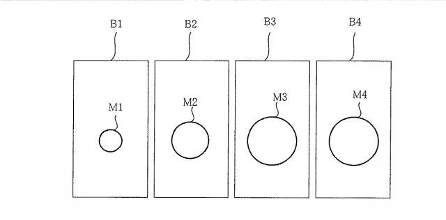 6602289-立体断層像の容積計測装置、容積計測方法及び容積計測プログラム 図000008