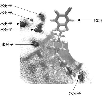6623697-相互作用エネルギーの算出方法、及び算出装置、並びにプログラム 図000008