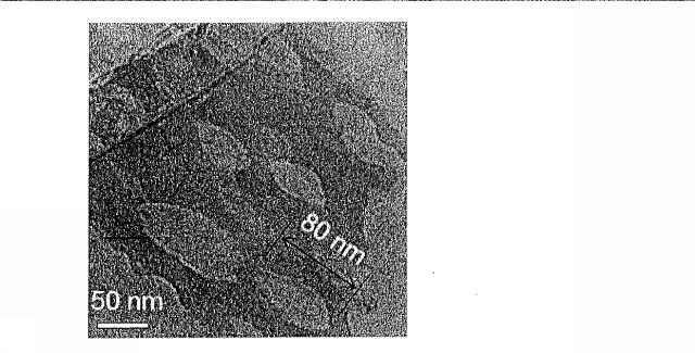 6671712-酸化物ナノシート及びその製造方法 図000008