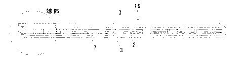 6688960-梯子状に固定した成型部材で造るコンクリート構築物。 図000008