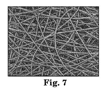 6703010-生体吸収性ポリマと抗菌剤とからなる植込型医療装置用ポリマカバー、およびその製造方法 図000008