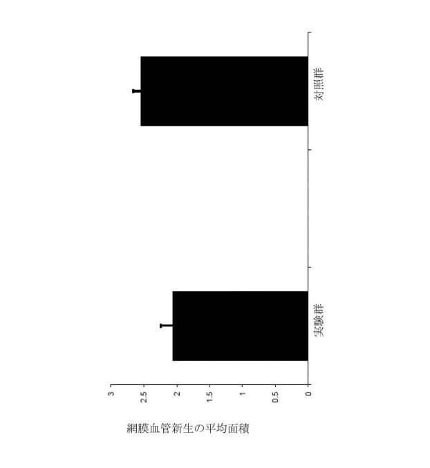 6706367-血管漏出症候群および癌を治療する方法 図000008