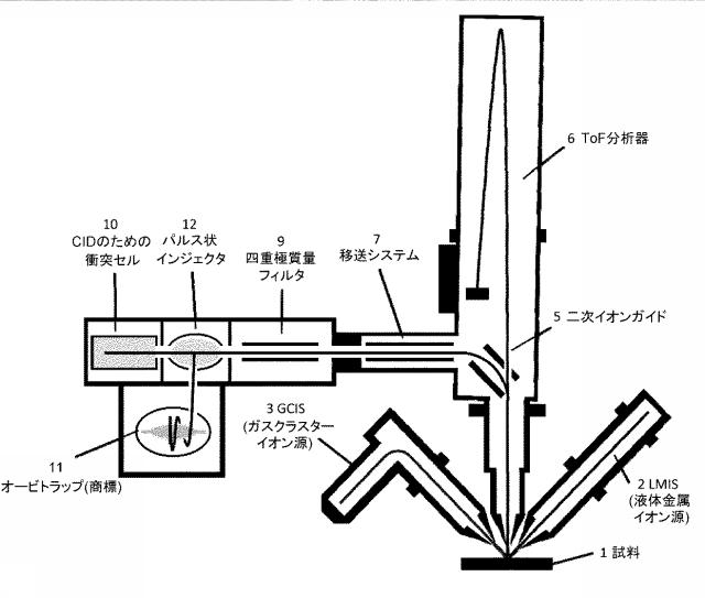 6716687-二次イオン質量分析計及び二次イオン質量分析方法 図000008