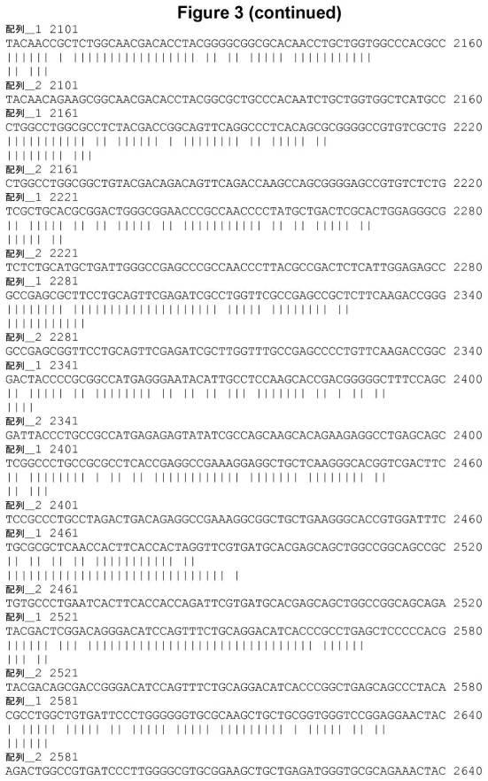 6808842-ＦＧＦ２１応答性レポーター遺伝子細胞株 図000008