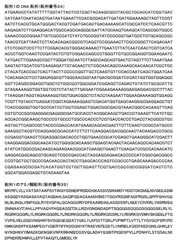 6810470-融合タンパク質を含むシルク繊維及び該シルク繊維の製造方法 図000008