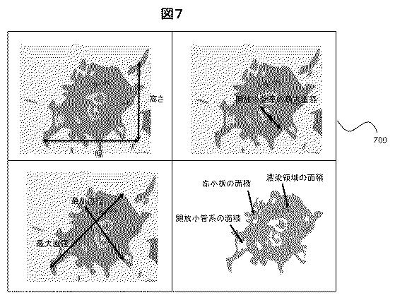 6862538-撮像装置および形態特徴データ表示方法 図000008