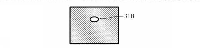 6863558-異物検査方法及び装置 図000008