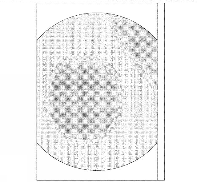 6882744-内視鏡の視野確保用の粘弾性組成物 図000008