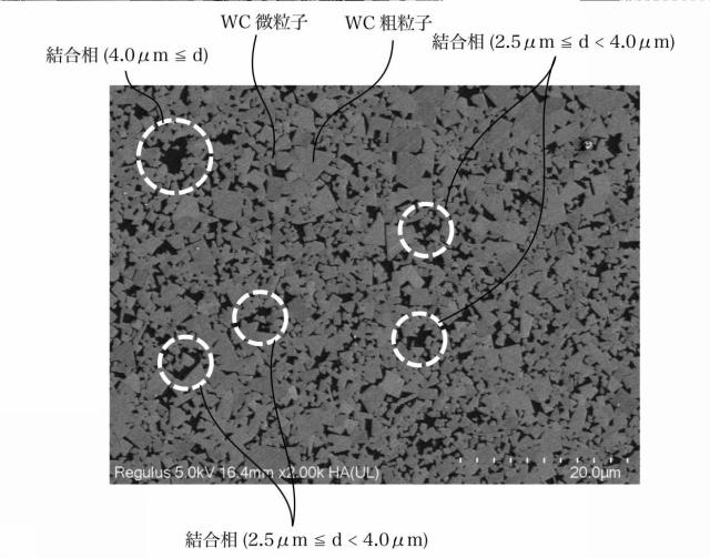 6900099-超硬合金及び金型 図000008