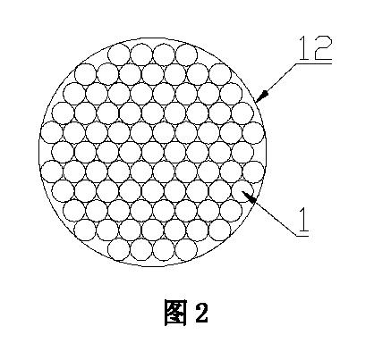 6948393-光電気的水分解による水素製造用微小電極光ファイバ、光ケーブル、および水素製造装置 図000008