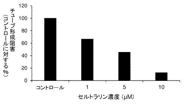 6952980-血管新生阻害薬 図000008