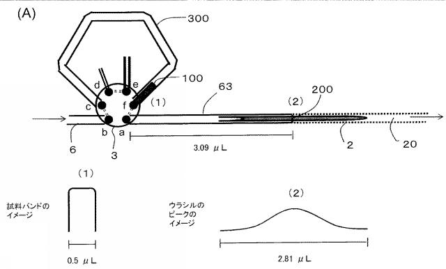 6963434-試料導入方法及び試料導入装置 図000008