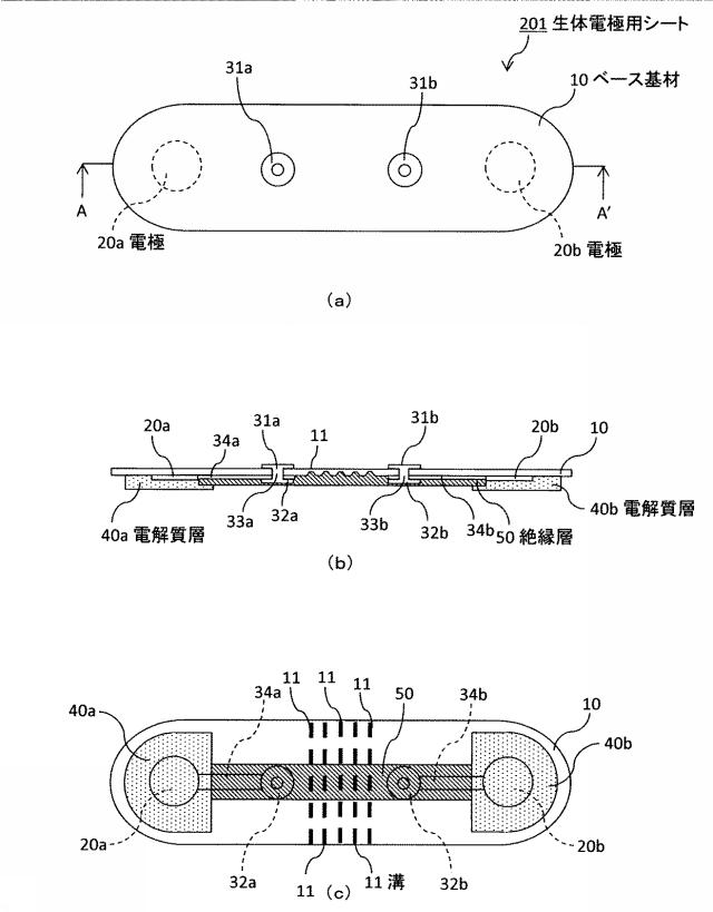 6976130-生体電極用シート 図000008