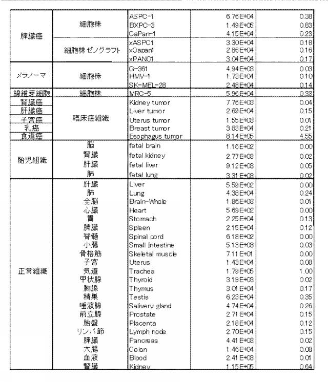 5730570-抗システムＡＳＣアミノ酸トランスポーター２（ＡＳＣＴ２）抗体 図000009