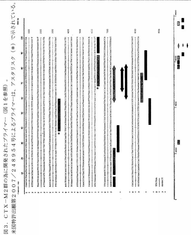 5766618-基質特異性拡張型β−ラクタマーゼの検出方法および同定方法 図000009