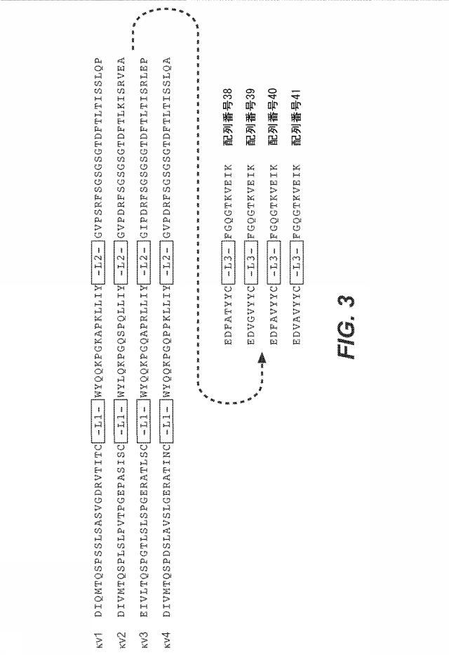 5814925-抗ヘプシン抗体及びその使用方法 図000009