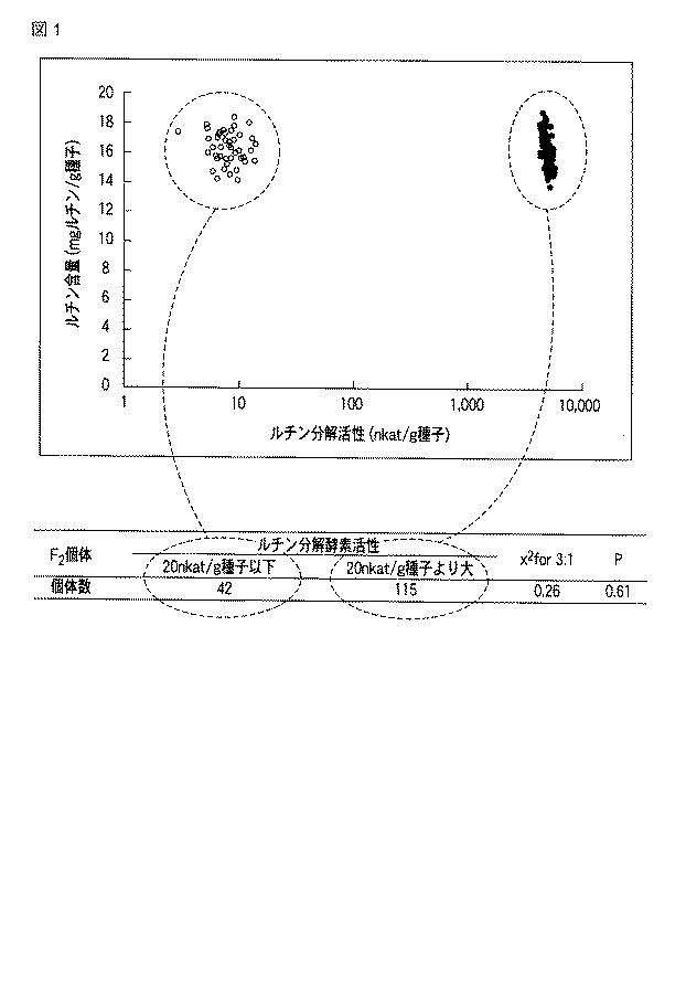 5887070-ソバ粉、ソバ粉の使用方法、麺類、および麺帯加工食品 図000009