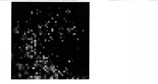 5928937-細胞解析装置及び細胞解析方法 図000009