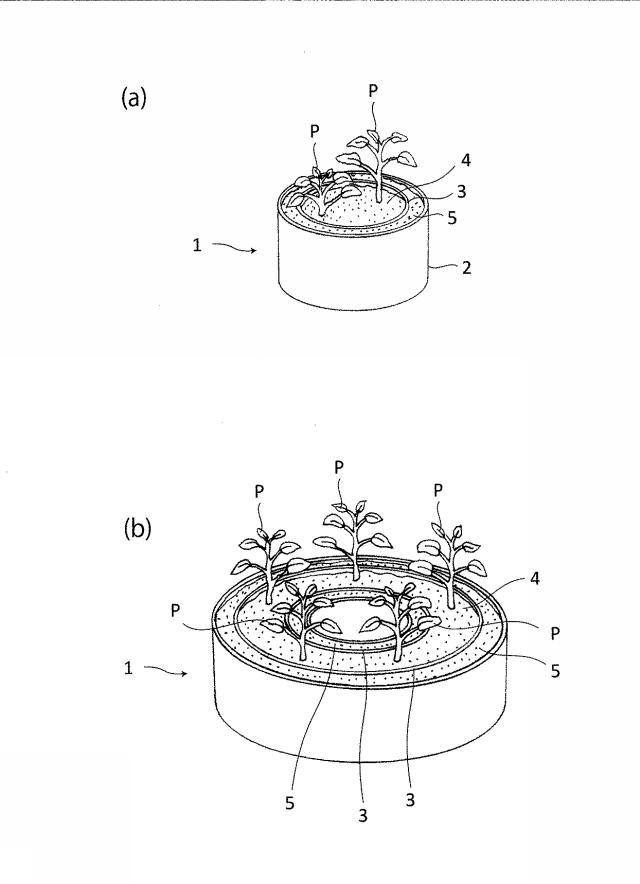 5932909-植物栽培方法 図000009