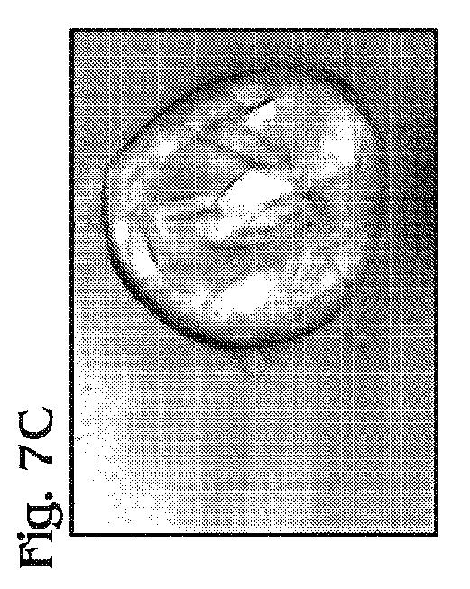 5963683-カプセル化された小滴に関するエマルジョンの化学およびアッセイ 図000009