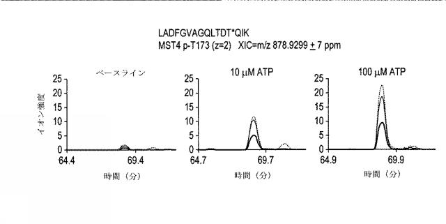 6005651-トランスフェラーゼの活性同定方法 図000009