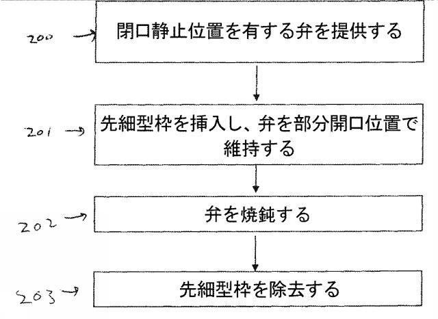 6038018-流れに最適化したポリマー心臓弁 図000009