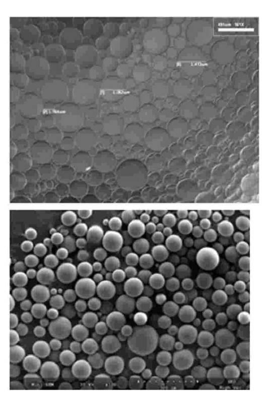 6145513-アルブミン及びデキストランサルフェートを含む抗癌剤吸着能力の向上された生分解性マイクロビーズ及びその製造方法 図000009