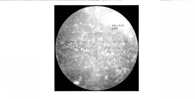 6189902-文化財の表面から白化した合成樹脂を除去する方法 図000009