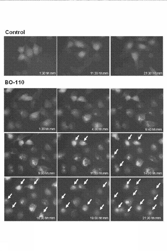 6222749-医薬組成物及びその使用 図000009