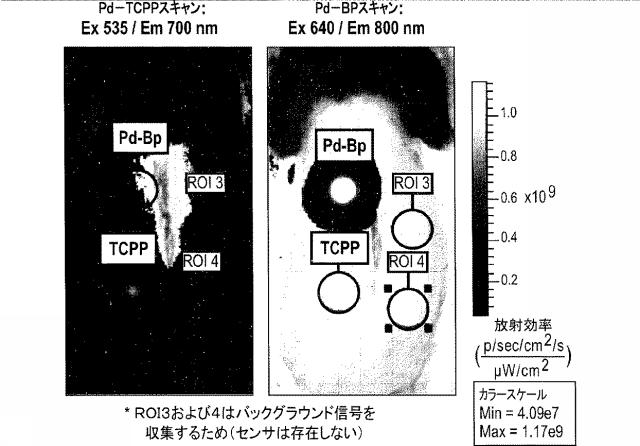 6244004-酸素センサ 図000009