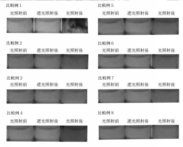 6245850-外用組成物 図000009