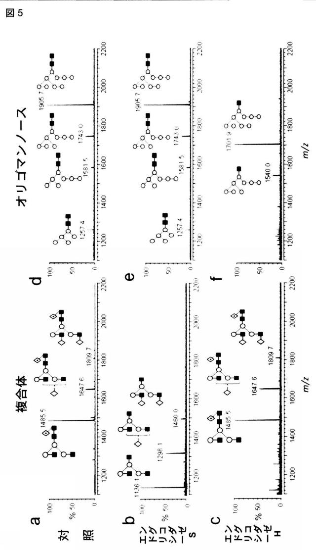 6249962-抗体およびエンドグリコシダーゼの組合せ治療上の使用 図000009