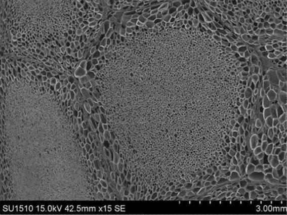 6253839-エステル系エラストマー発泡成形体、その用途及びエステル系エラストマー発泡粒子 図000009