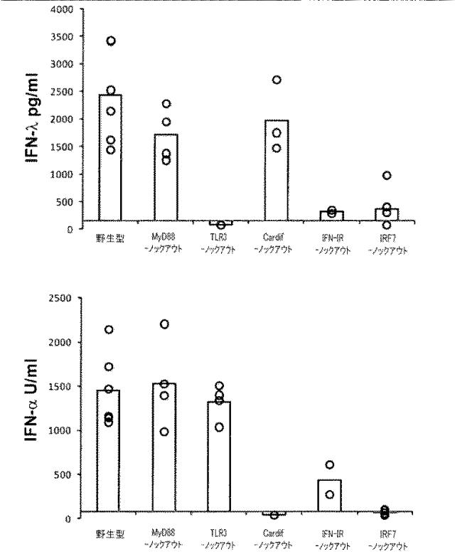 6263559-従来型樹状細胞によるＩＦＮ‐ラムダの産生及びその使用 図000009
