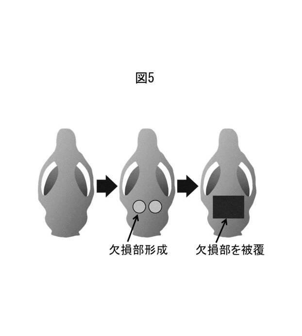 6358605-骨髄類似構造を利用した細胞培養法、及び骨損傷部位の治療のためのポリイミド多孔質膜 図000009