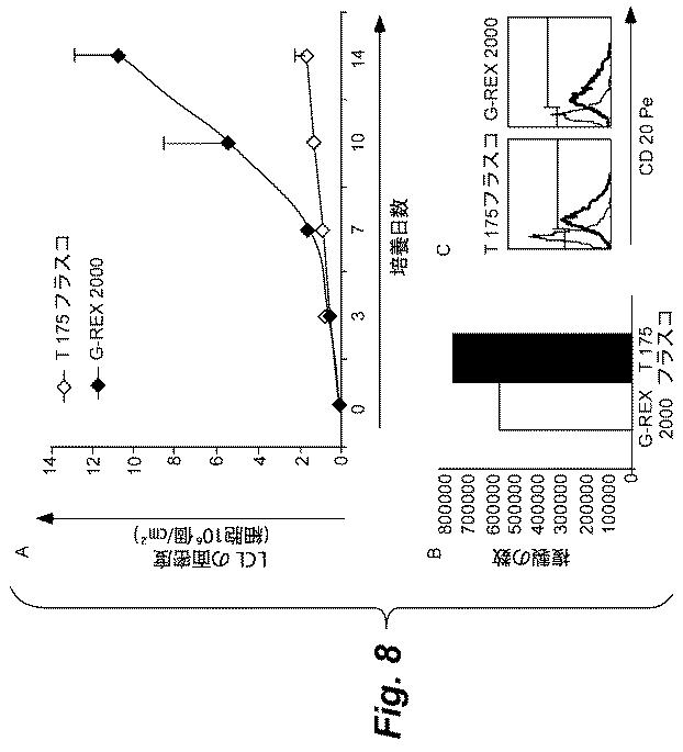 6386447-養子細胞療法のための改良された細胞培養法 図000009