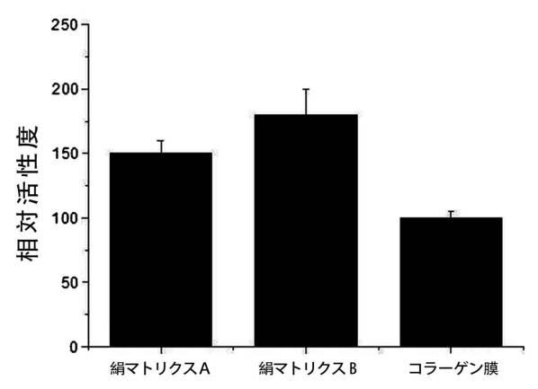 6392461-絹マトリクスを用いた人工生体膜及びその製造方法 図000009