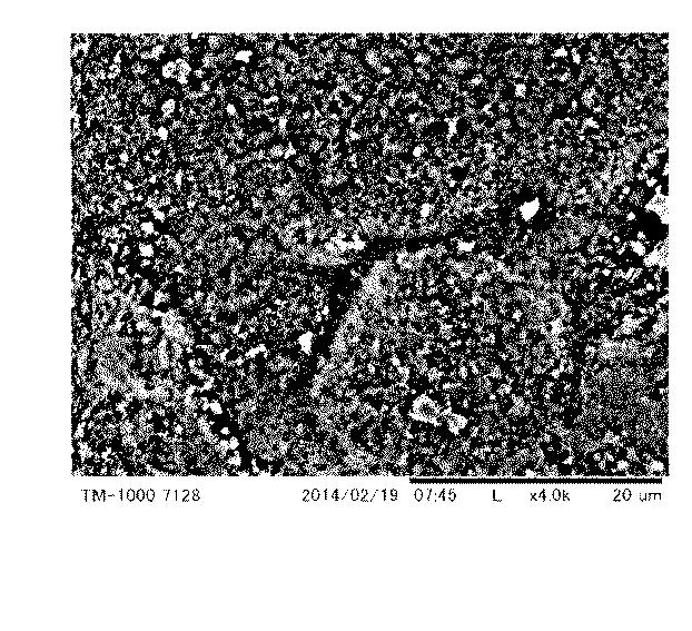 6420566-低鉛黄銅製接液部材の製造方法 図000009