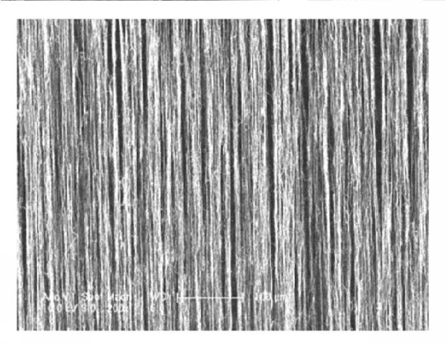 6492125-単一分子を検出する方法 図000009