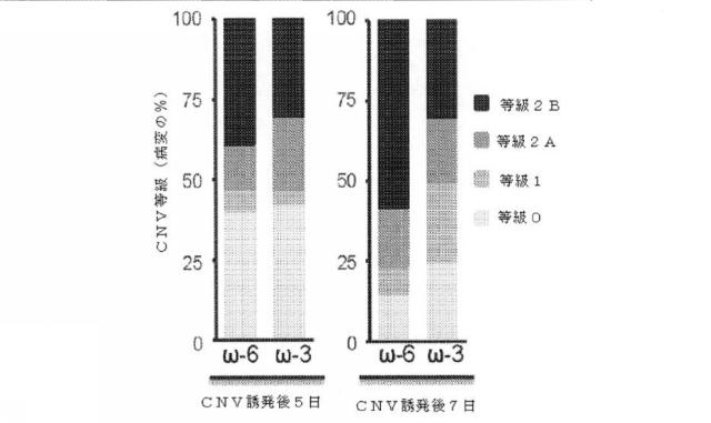 6526570-炎症及び血管形成を減少させるＣＹＰ４５０脂質メタボライト 図000009