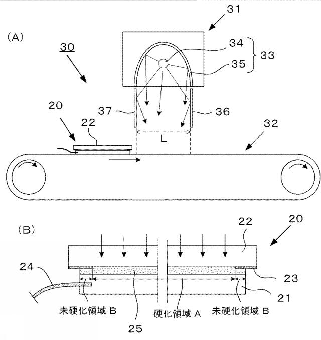 6578820-紫外線照射器および紫外線照射装置 図000009