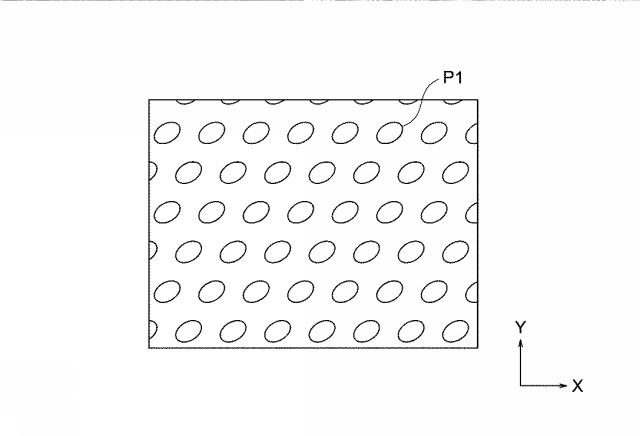 6609917-蛍光光源用発光素子の製造方法 図000009